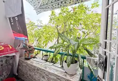 64m2, Bán nhà 1/ Nguyễn Kiệm, 3 Tầng, 4Pn, P3 Gò Vấp, 6 Tỷ chốt... Bán nhà riêng tại Hạnh Thông, Hồ Chí Minh 07