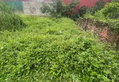 Bán đất thổ cư 51m² ngõ ô tô xã Quang Minh Mê Linh... Bán đất tại Quang Minh, Hà Nội 01