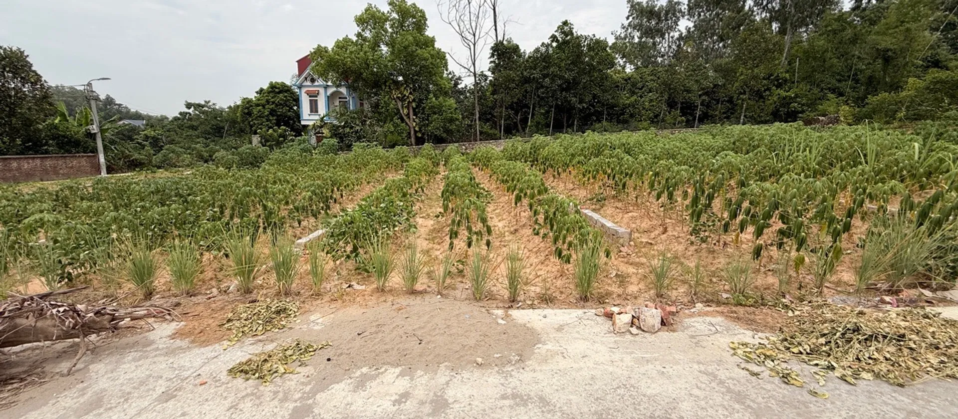 Lô đất vàng 94.6m² vị trí đắc địa, oto đỗ thoải mái... Bán đất tại Phù Lãng, Bắc Ninh 01
