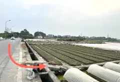 Bán đất vuông vắn rộng 416m2, mặt tiền 13m tại xã Phúc Thịnh... Bán đất tại Phúc Thịnh, Hà Nội 06