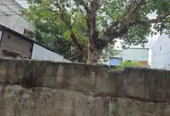Bán nhà riêng 1 tầng 80m2 tại phường Trường Thọ Thủ Đức... Bán nhà riêng tại Thủ Đức, Hồ Chí Minh 04