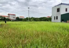 🔥 HÀNG HOT ĐẤU GIÁ VĨNH XÁ – 130M² – MT 6,5M – ĐƯỜNG 10M – HẠ TẦNG ĐỒNG BỘ – DỄ CHỐT 🔥... Bán đất tại Nghĩa Dân, Hưng Yên 12