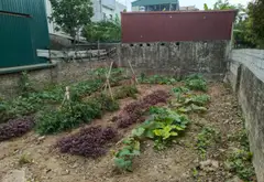 Cơ hội sở hữu lô đất vàng mặt ngõ ô tô, lô góc tại trung tâm thành phố... Bán đất tại Nam Phù, Hà Nội 02