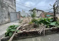 Lô Đất Góc 74m2 Giá Đầu Tư Tại Thuận Thành, gần cầu Kinh Dương Vương... Bán đất tại Thuận Thành, Bắc Ninh 01