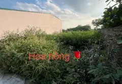 🔥 ĐẤT ĐẸP TRÁNG VIỆT – CHỦ CẦN BÁN GẤP... Bán đất tại Mê Linh, Hà Nội 01