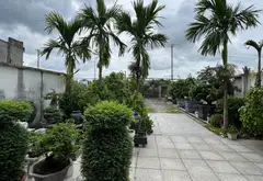 Biệt thự view sông sân vườn siêu rộng tại Bình Chánh... Bán nhà mặt phố tại Vĩnh Lộc, Hồ Chí Minh 12