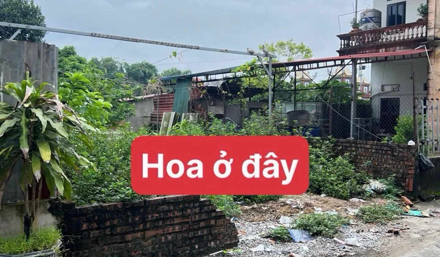 Cơ Hội Vàng Sở Hữu Đất Vị Trí Vàng Gần Sân Bay Nội Bài, Sóc Sơn... Bán đất tại Nội Bài, Hà Nội 01