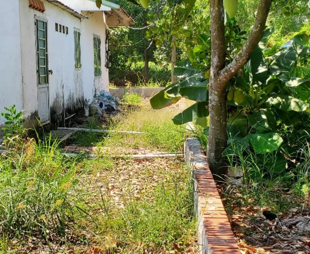 Bán đất 1000m2 có nhà tại Vườn Thơm, Bình Lợi, giá 6,3 tỷ... Bán owner_side tại Bình Lợi, Hồ Chí Minh 01