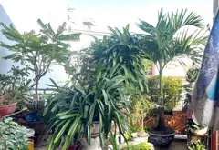 Nhà mặt phố Lê Hữu Trác - 3 tầng kiên cố, sẵn sàng kinh doanh... Bán nhà mặt phố tại Sơn Trà, Đà Nẵng 01