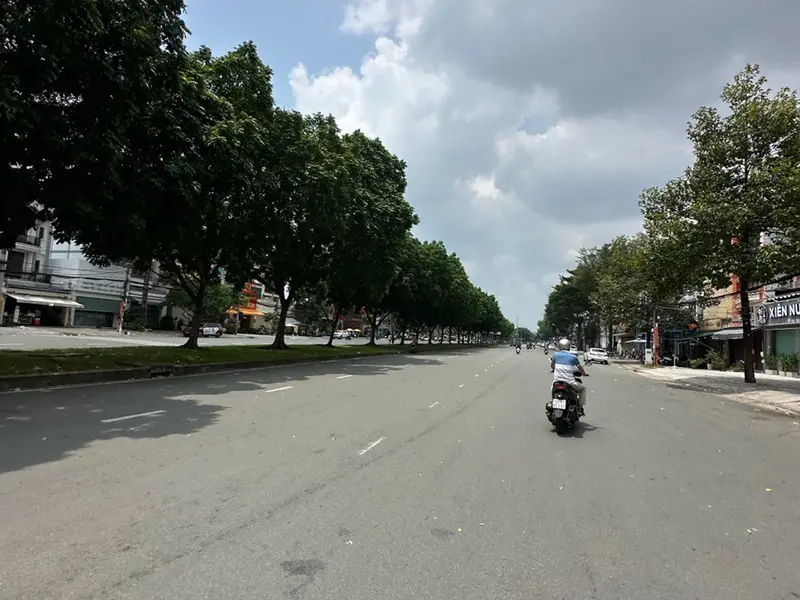Siêu phẩm mặt phố lô góc khu vực An Lạc, Bình Tân – cơ hội vàng cho khách sạn... Bán nhà mặt phố tại An Lạc, Hồ Chí Minh 01