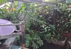 BÁN NHÀ CHIA TÀI SẢN - CHỈ 4.15 TỶ - 1 LẦU - 417M- NGUYỄN VẲN QUÁ - CHỢ CẦU -Q12... Bán nhà riêng tại Đông Hưng Thuận, Hồ Chí Minh 02