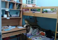Nhà 2 tầng hẻm yên tĩnh gần Hồ Bá Kiện, Quận 10... Bán nhà riêng tại Hòa Hưng, Hồ Chí Minh 12