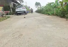 Đất đẹp Mão Điền – Ô tô vào tận nơi, sổ sẵn chờ giao dịch... Bán đất tại Mão Điền, Bắc Ninh 05