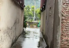 ĐẤT CHÍNH CHỦ CẦN BÁN GẤP. GIÁ SỐC... Bán đất tại Đại Đồng, Bắc Ninh 06