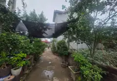 Lô đất nhỏ xinh, ô tô đỗ ngay cửa, giá cực hấp dẫn... Bán đất tại Văn Giang, Hưng Yên 07