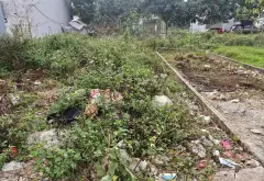 Cơ hội hiếm có sở hữu biệt thự liền kề vị trí chiến lược tại Liên Ninh... Bán biệt thự, liền kề tại Ngọc Hồi, Hà Nội 03