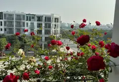 Cơ Hội Vàng Sở Hữu Biệt Thự Đơn Lập Đẳng Cấp Tại The Manor Nguyễn Xiển... Bán biệt thự, liền kề tại Thanh Liệt, Hà Nội 10