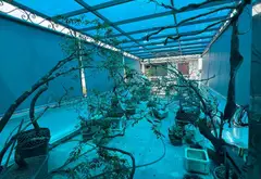 Bán nhà riêng 4 tầng tại Ngô Gia Tự, diện tích 74.4m2, pháp lý rõ ràng... Bán nhà riêng tại Hải An, Hải Phòng 06