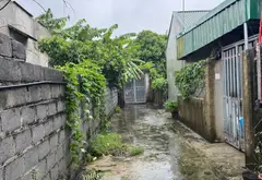 Quyền Sở Hữu Đất Đẳng Cấp Tại Xã Vĩnh Hải Với Nhà Cấp 4 Kèm Vườn Trái Cây Riêng... Bán đất tại Vĩnh Hải, Hải Phòng 04