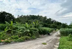 Cơ hội vàng sở hữu đất phân lô thôn Thất Gian, Phù Lãng - Quế Võ... Bán đất tại Quế Võ, Bắc Ninh 01