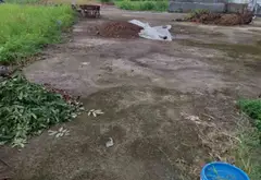 Bán đất xã Tân Tiến, Hưng Yên, diện tích 76.1 m2, pháp lý rõ ràng... Bán đất tại Tân Tiến, Hưng Yên 07