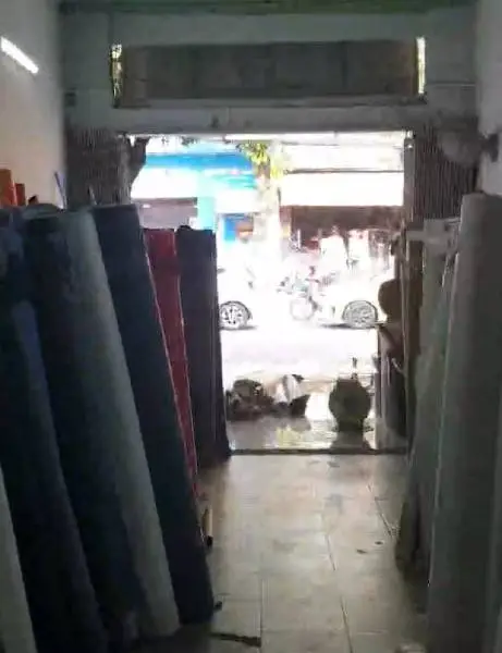 Bán nhà mặt phố Phường Tân Phú, Quận Tân Phú, 56m2, giá 13.8 tỷ... Bán nhà mặt phố tại Phú Thọ Hòa, Hồ Chí Minh 01