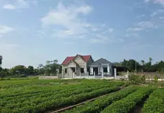 ĐẤT BẮC NINH GIÁ RẺ... Bán đất tại Hiệp Hòa, Bắc Ninh 06