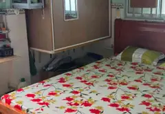 Nhà Lô Góc 2 Mặt Tiền Hậu Giang, Giá Ưu Đãi 3,99 Tỷ... Bán nhà riêng tại Bình Tây, Hồ Chí Minh 14