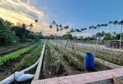 Đất đẹp An Trường, ngõ thông, giá hợp lý... Bán đất tại An Lão, Hải Phòng 06