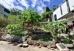 Cơ hội sở hữu đất ô góc 3 mặt thoáng gần trường Hà Lầm - diện tích 60m²... Bán đất tại Hà Lầm, Quảng Ninh 01