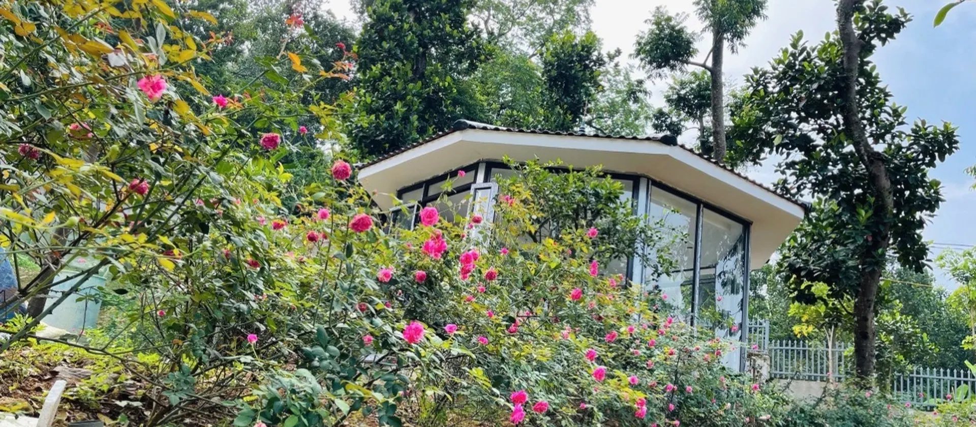 Đất nền biệt thự view Đại Lộ Thăng Long tại Đồng Quang Quốc Oai... Bán đất tại Quốc Oai, Hà Nội 01
