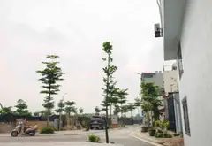 Nhà lô góc 3 tầng tại xã Đại Thanh, Hà Nội - Tiềm năng tăng giá cao... Bán nhà riêng tại Đại Thanh, Hà Nội 02