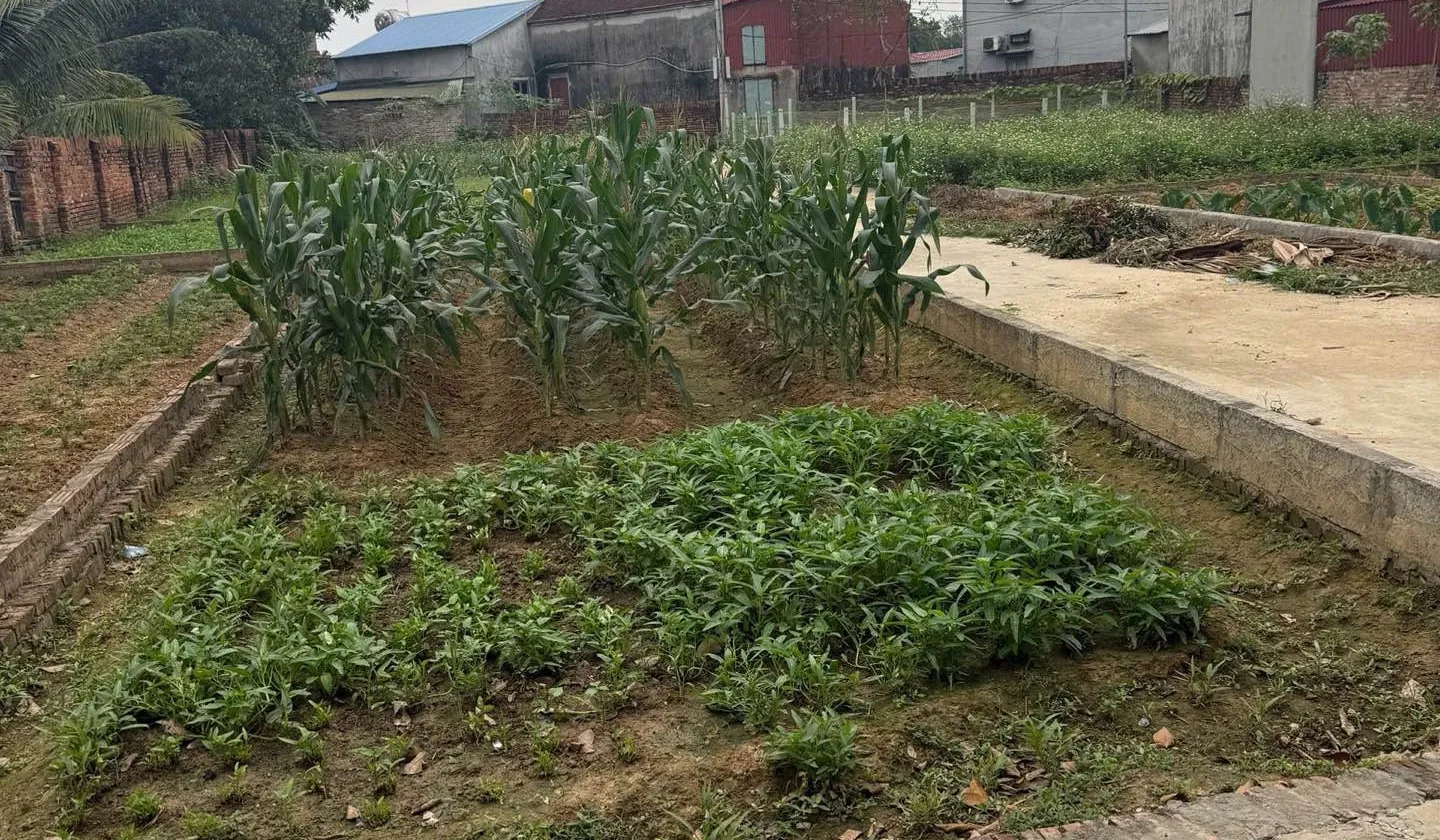 Lô góc đẹp, ô tô ngủ trong đất - Xuân Đồng, Tân Minh... Bán đất tại Sóc Sơn, Hà Nội 01