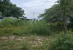 🔥 ĐẤT HÒA LIÊN 5 – 100M² – ĐƯỜNG 7M5 – GIÁ NHỈNH NHỎ 3 TỶ 🔥... Bán đất tại Liên Chiểu, Đà Nẵng 01