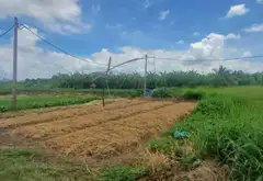 Đất Góc 3 Mặt Tiền 10.081m2 - Cơ Hội Vàng Tại Hưng Long... Bán đất tại Bình Chánh, Hồ Chí Minh 10
