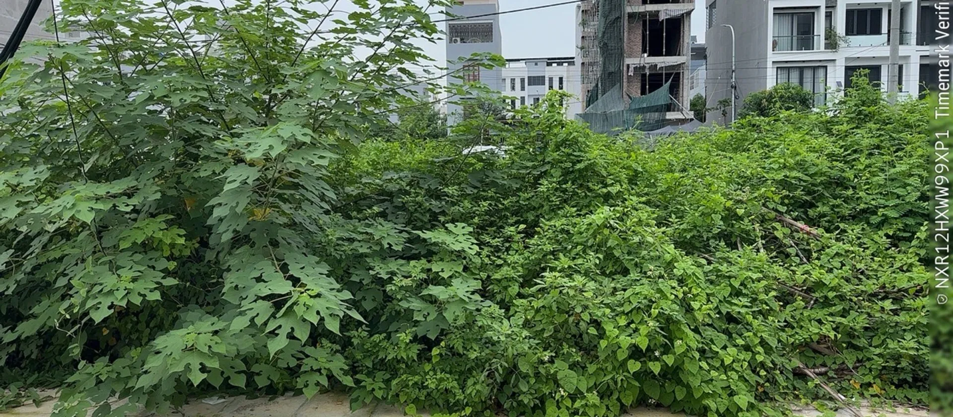 Lô đất hấp dẫn tại khu vực Lê Hồng Phong với vị trí thuận tiện... Bán đất tại Gia Viên, Hải Phòng 01