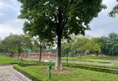 Bán liền kề 5 tầng 83m2, mt5m đường ô tô tránh vỉa hè tại KĐT mới An Hưng, Hà Đông, giá chỉ 20 tỷ... Bán biệt thự, liền kề tại Dương Nội, Hà Nội 02