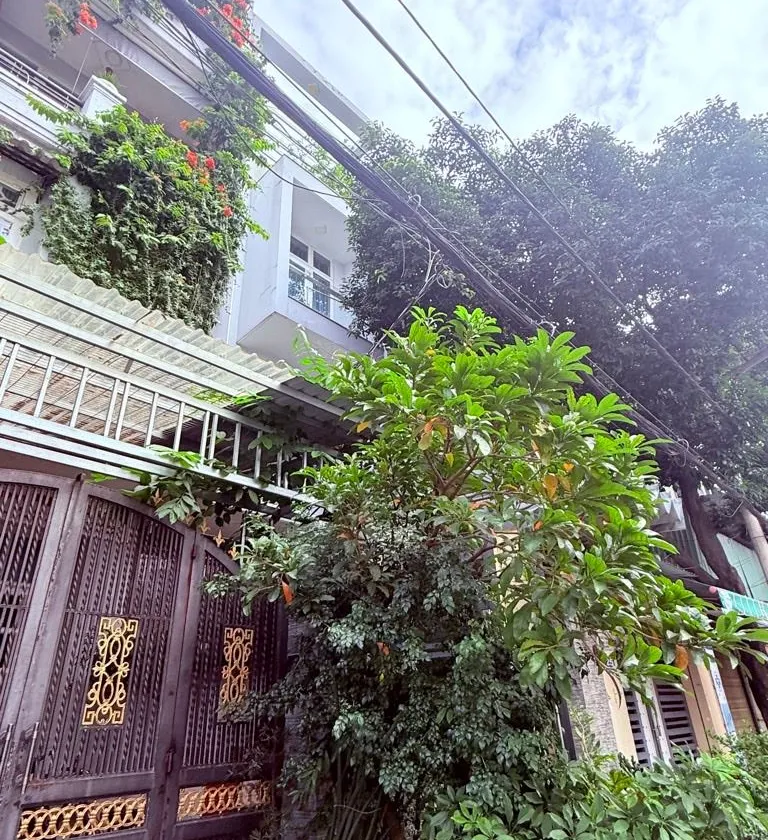 Bán nhà mặt phố 4 tầng diện tích 84m2 giá 12 tỷ, khu vực an ninh... Bán nhà mặt phố tại Phú Thạnh, Hồ Chí Minh 01