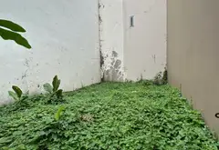 Cơ hội hiếm có: Đất trống mặt tiền 5,3m hẻm xe hơi Phú Thuận Quận 7... Bán đất tại Phú Thuận, Hồ Chí Minh 06