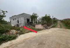 Đất nền giá tốt trong ngõ ô tô – tiềm năng phát triển cực hấp dẫn... Bán đất tại Sóc Sơn, Hà Nội 05