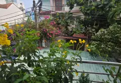 Nhà mặt phố rộng rãi tại trung tâm quận Tân Bình với mặt tiền 6m hiếm có... Bán nhà mặt phố tại Bảy Hiền, Hồ Chí Minh 13