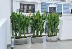 Nhà phố đẹp, hẻm rộng, xe hơi vào tận nhà ở Quận 12... Bán nhà riêng tại An Phú Đông, Hồ Chí Minh 12