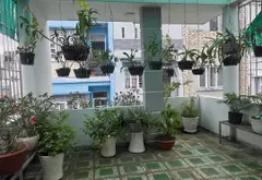Nhà đẹp sân thượng siêu thoáng Lạc Long Quân chỉ 8.5 tỷ... Bán nhà riêng tại Tân Hòa, Hồ Chí Minh 09