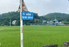 Bán đất 4187m2 Thôn 2 Trung Giã, mặt tiền 105m, đường ô tô thông... Bán đất tại Trung Giã, Hà Nội 09