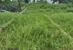 Cơ Hội Hiếm Có Sở Hữu Lô Đất Vàng Ngã Ba Đồng Nẻo Đồ Sơn... Bán đất tại Đồ Sơn, Hải Phòng 03