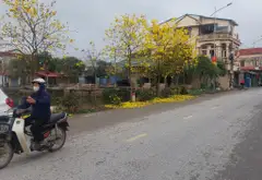Đất đẹp ven hồ Long Hưng - Hưng Yên, ô tô đỗ cửa, kinh doanh tuyệt vời... Bán đất tại Nghĩa Trụ, Hưng Yên 12