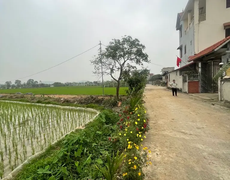 Đất Vuông Vắn Quang Tiến Sóc Sơn - Vị Trí Vàng Cho Nhà Đầu Tư... Bán đất tại Sóc Sơn, Hà Nội 01