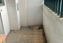 🌏🎯 CĂN HỘ BẮC LINH ĐÀM – TRẦN HÒA LÔ GÓC SỔ 60M2, 2 NGỦ, GIÁ 3,8 TỶ.... Bán căn hộ chung cư tại Hoàng Liệt, Hà Nội 10