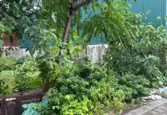 Bán đất 52.6m2 tại khu dịch vụ Vân Canh Hoài Đức giá 10 tỷ... Bán đất tại Hoài Đức, Hà Nội 09