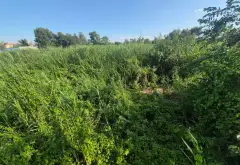 Đất nền siêu rộng mặt tiền xe tải tại An Hạ... Bán đất tại Tân Vĩnh Lộc, Hồ Chí Minh 07